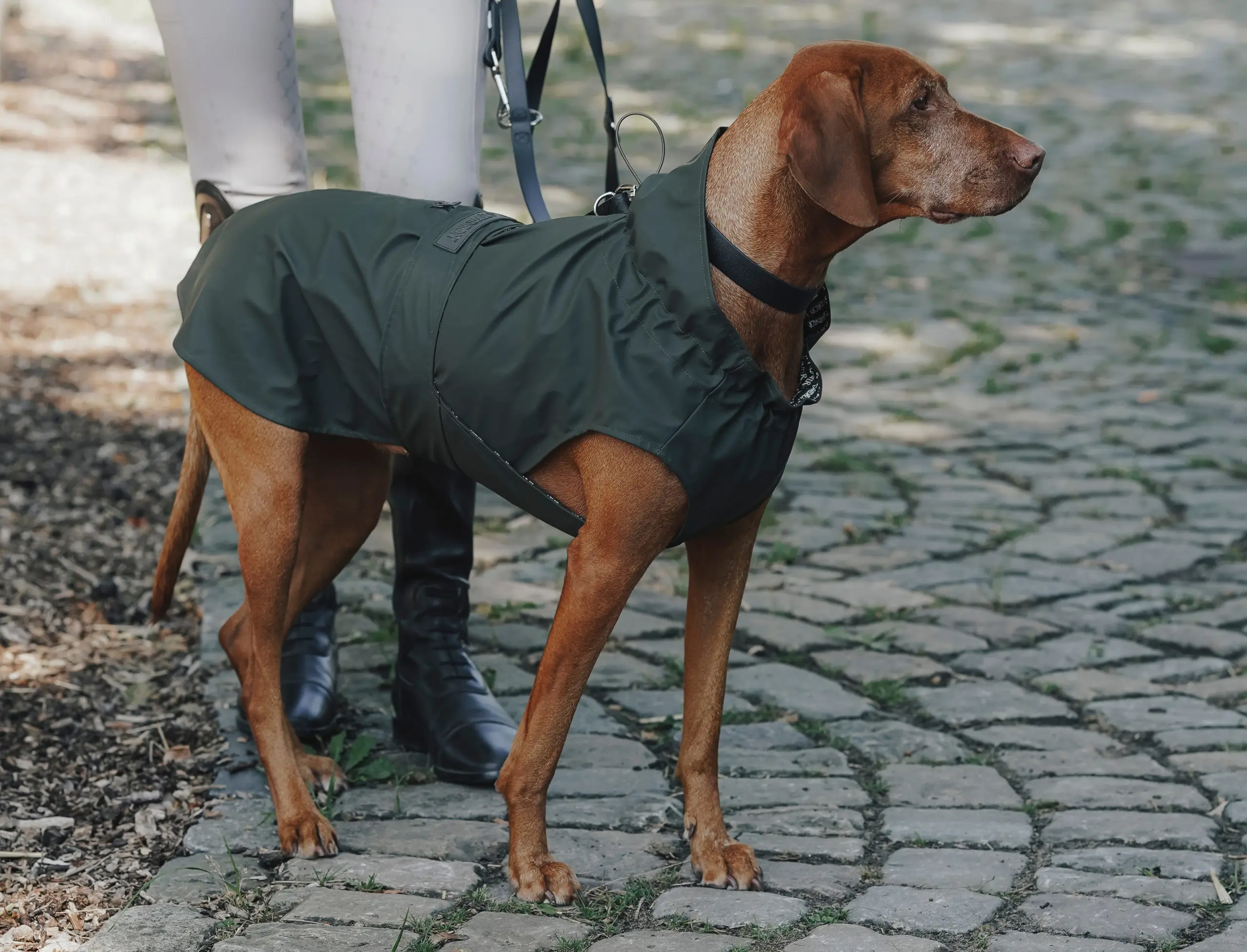 ESKADRON x HUNTER dog raincoat Rainshield in taupe